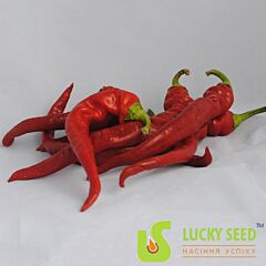 АЦТЕК F1 / ATCTEK F1 - семена перца, Lucky Seed