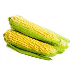 БАРОН F1 / BARON F1 - насіння цукрової кукурудзи, May Seeds
