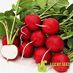 ЕЛІЗА F1 (СТАНДАРТ+) / ELIZA F1 (STANDART+) - насіння редису, Lucky Seed