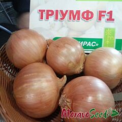 ТРИУМФ F1 / TRIUMF F1 - семена лука, Moravoseed