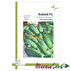 АСКОЛЬД F1 / ASKOLD F1 - насіння огірка, Moravoseed