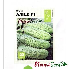 АЛІЦЕ F1 / ALICE F1 - насіння огірка, Moravoseed