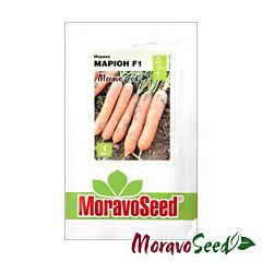 МАРІОН F1 / MARION F1 - насіння моркви, Moravoseed