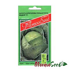МІДОР F1 / MIDOR F1 - насіння білоголової капусти, Moravoseed