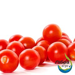 ЛАМАР F1 / LAMAR F1 - насіння томата (помідора), LibraSeeds (Erste Zaden)