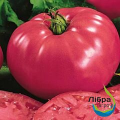РОЗАРІЙ F1 / ROZARIY F1 - насіння томата (помідора), LibraSeeds (Erste Zaden)