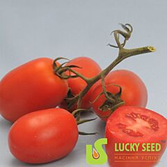 КІНГ F1 / KING F1 - насіння томата (помідора), Lucky Seed