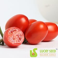 ТЕХАС F1 / TEXAS F1 - насіння томата (помідора), Lucky Seed