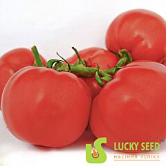 ЛАБАДО F1 / LABADO F1 - насіння томата (помідора), Lucky Seed