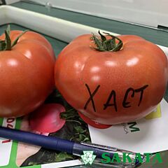 ХАЕТ F1 / HAET F1 - семена томата (помидора), Sakata