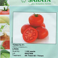 ЛІНДА F1 / LINDA F1 - насіння томата (помідора), Sakata
