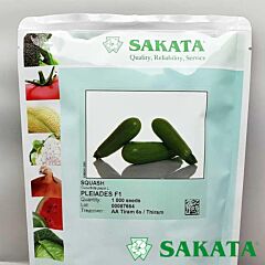 ПЛЕАДИС F1 / PLEADIS F1 - семена кабачка, Sakata