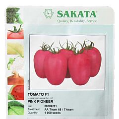 ПИНК ПИОНЕР F1 / PINK PIONER F1 - семена томата (помидора), Sakata