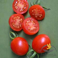 ФРЕНЗІ F1 / FRENZI F1 - насіння томата (помідора), Lark Seeds