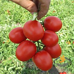 ГРАНДО F1 / GRANDO F1 - семена томата (помидора), Lark Seeds