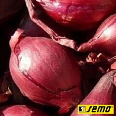 КАРМІНКА / KARMINKA - насіння цибулі, Semo