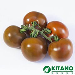КС 3900 F1 / KS 3900 F1 - насіння томата (помідора), Kitano Seeds