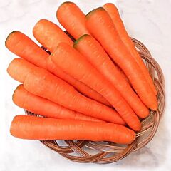 ДОВГА ЧЕРВОНА БЕЗСЕРЦЕВИННА / LONG RED WITHOUT CORE - насіння моркви, Satimex