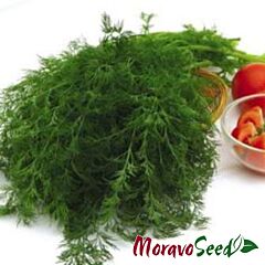 МОНАРХ / MONARKH - насіння кропу, Moravoseed