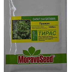 ПРАЖАН / PRAJAN - насіння салату, Moravoseed