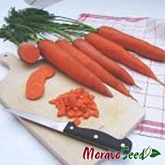 ФРАНСІС / FRANSIS - насіння моркви, Moravoseed