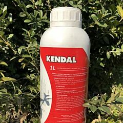 КЕНДАЛ / KENDAL - биостимулятор роста, Valagro