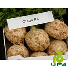ОТАГО / OTAGO - насіння селери, Rijk Zwaan