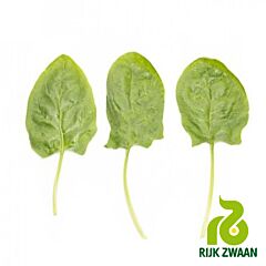 ГНУ F1 / GNU F1 - семена шпината, Rijk Zwaan