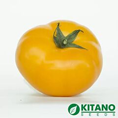 НУКСІ (КС 17) F1 / NUKSI (KS 17) F1 - насіння томата (помідора), Kitano Seeds