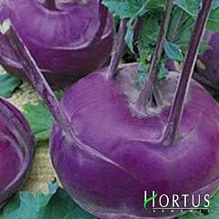 ВІДЕНСЬКА СИНЯ / VIENNA BLUE - насіння капусти кольрабі, Hortus