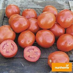 ВУЛКАН F1 / VULCAN F1 - семена томата (помидора), Nunhems