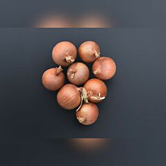 СОНОМА F1 / SONOMA F1 - насіння цибулі, Bejo