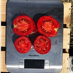 9969 F1 - семена томата (помидора), Spark Seeds