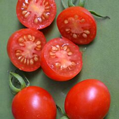 ФРЕНЗИ F1 / FRENZI F1 - семена томата (помидора), Spark Seeds
