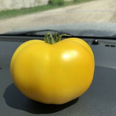 ЄЛЛОУ БОЛЛ F1 / YELLOW BALL F1 - насіння томата (помідора), Spark Seeds