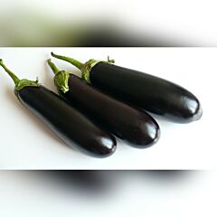 МИРИНДА F1 / MIRINDA F1 - семена баклажана, Spark Seeds
