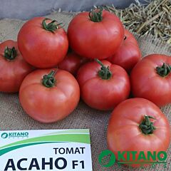 АСАНО (КС 38) F1 / ASANO (KS 38) F1 - насіння томата (помідора), Kitano Seeds