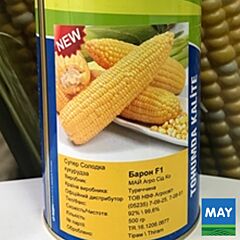 БАРОН F1 / BARON F1 - насіння цукрової кукурудзи, May Seeds