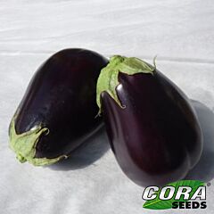САРА (CRX 50129) F1 / SARA (CRX 50129) F1 - насіння баклажана, Cora Seeds