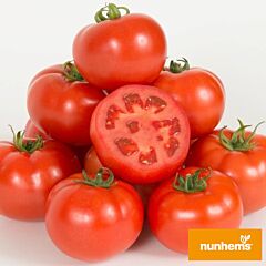 ДИАГРАММА F1 / DIAGRAMMA F1 - семена томата (помидора), Nunhems