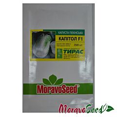 КАПІТОЛ F1 / KAPITOL F1 - насіння пекінської капусти, Moravoseed