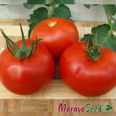 ДАФНЕ F1 / DAFNE F1 - насіння томата (помідора), Moravoseed