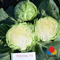 ПРЕСТАР F1 / PRESTAR F1 - семена белокачанной капусты, Takii Seeds