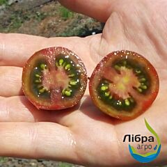АРІКА F1 / ARIKA F1 - насіння томата (помідора), LibraSeeds (Erste Zaden)
