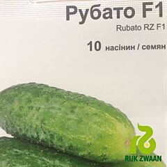 РУБАТО F1 / RUBATO F1 - насіння огірка, Rijk Zwaan