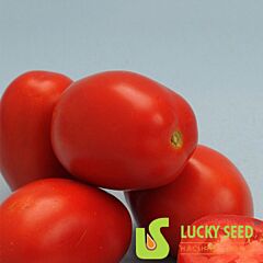 ТЕХАС F1 / TEXAS F1 - насіння томата (помідора), Lucky Seed