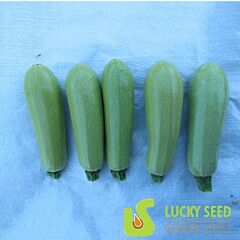 ТАИР F1 / TAIR F1 - семена кабачка, Lucky Seed