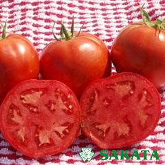 ЛІНДА F1 / LINDA F1 - насіння томата (помідора), Sakata