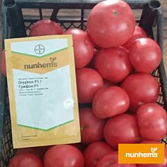 ГРИФОН F1 / GRYPHON F1 - семена томата (помидора), Nunhems