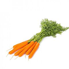 ИМЕР F1 / IMER F1 - семена моркови, Rijk Zwaan